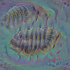 n01768244 trilobite